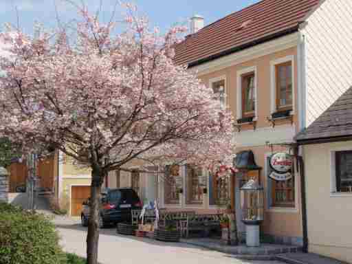 Gasthof zur Kirche: Kottes-Purk, Waldviertel, Niederösterreich