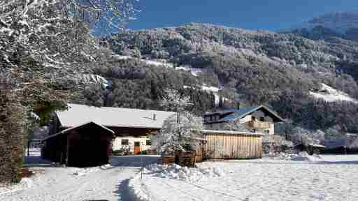 Hof im Feld