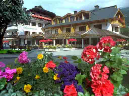 Ferienpark Waldpension Putz