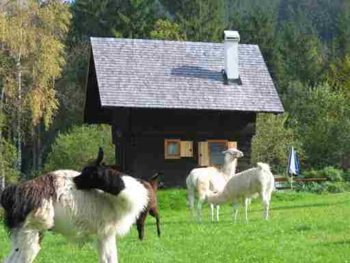 Hütte zum Verlieben