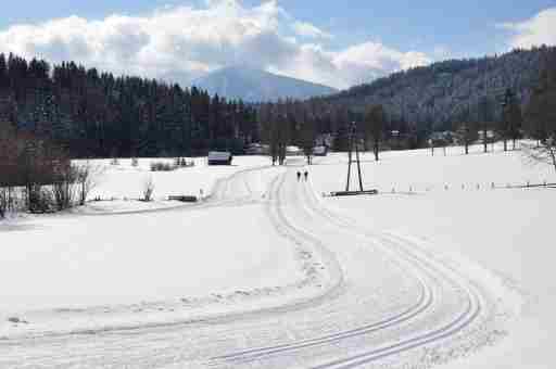 Haus Erle: Ramsau am Dachstein, Schladming Dachstein, Steiermark