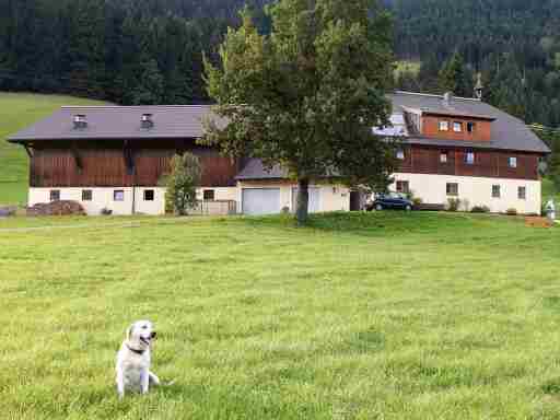 Kiblerhof: Russbach am Pass Gschütt, Tennengau, Salzburgerland