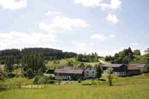 Biohof Besenbäck: Rappottenstein, Waldviertel, Niederösterreich