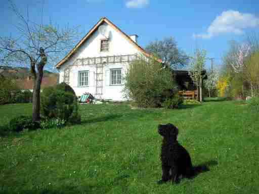 Schachnerhaus - Fam. Rodler: Pöllauberg, Oststeiermark, Steiermark