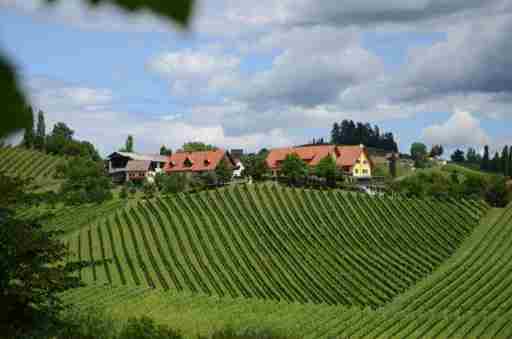 Weingut Fellner