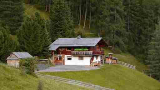 Ferienhaus Anderles-Alm