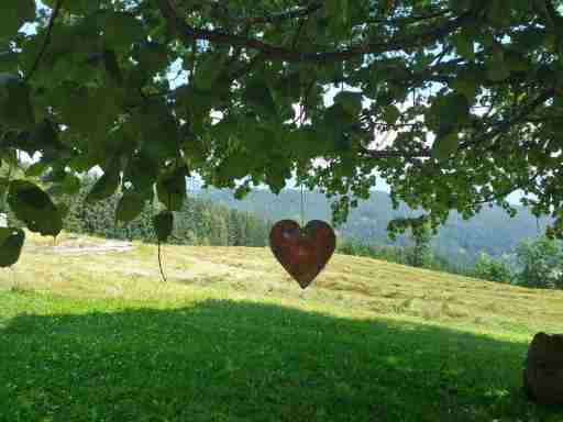 Urlaub im Blockhaus