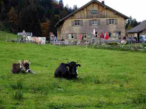 Jausenstation Neuschwand