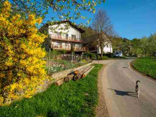 Bauernhof Waira: Yspertal, Waldviertel, Niederösterreich