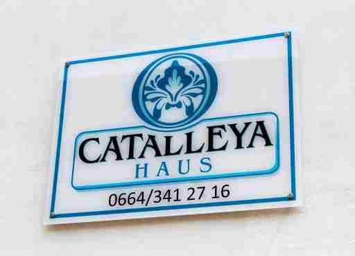 Catalleya Haus: Langenlois, Kamptal Wagram Tullner Donauraum, Niederösterreich