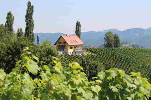 Ferienwohnung FELLNER