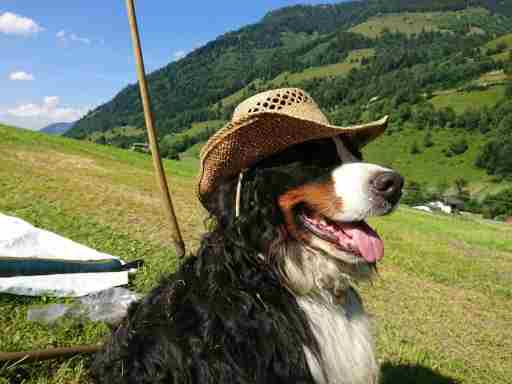 Schiederhof: Fusch an der Glocknerstraße, Bruck Fusch Großglockner, Salzburgerland