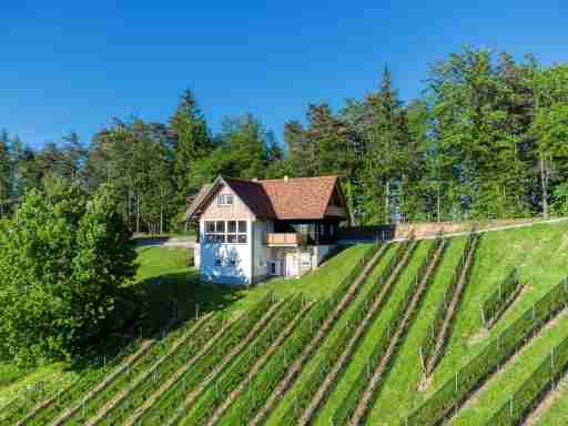 Ferienhaus Wagnerfranzl