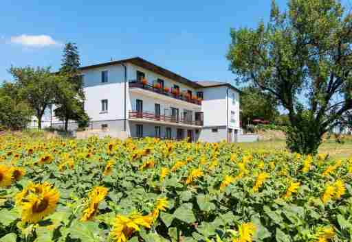 Gasthof-Pension Wein