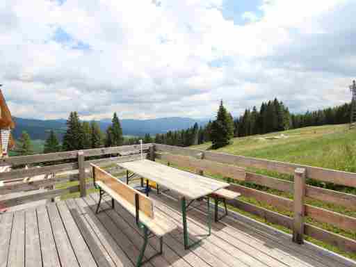 Ski in - Ski out Chalet Lungau