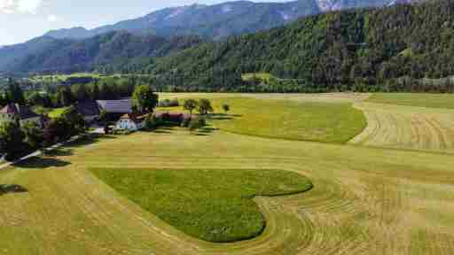 Ferien am Land - WALDBAUER