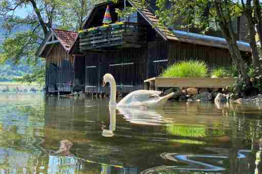 Seehaus direkt am Ossiachersee