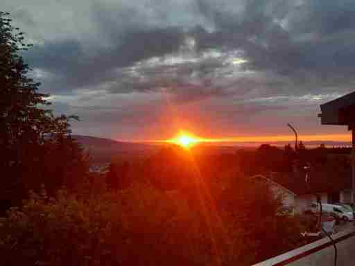 Ferienwohnung Bodenseeblick