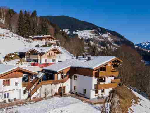 Alpensteinbock Saalbach L