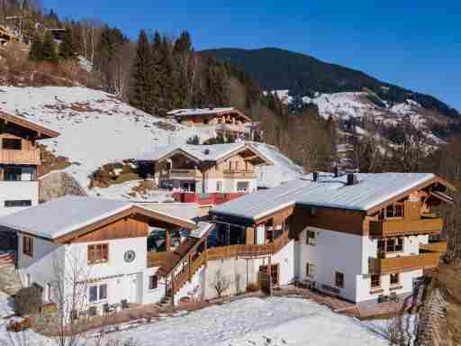 Alpensteinbock Saalbach C