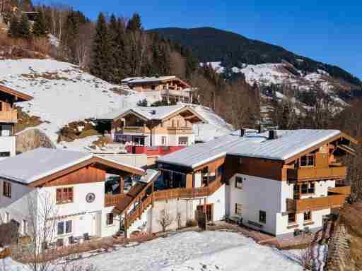 Alpensteinbock Saalbach B