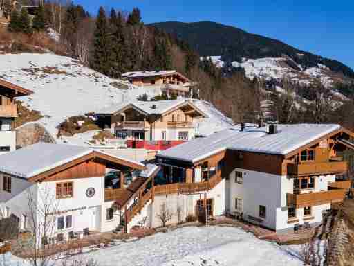 Alpensteinbock Saalbach A