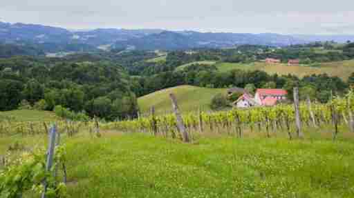 Weingut - Gästezimmer Resch Ludwig vlg. Powoden